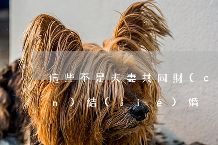 這些不是夫妻共同財(cái)產(chǎn)！結(jié)婚、離婚必須法律知識(shí)